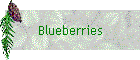 Blueberries