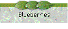 Blueberries