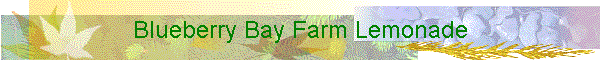 Blueberry Bay Farm Lemonade