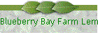 Blueberry Bay Farm Lemonade