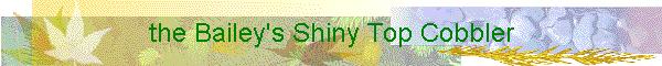 the Bailey's Shiny Top Cobbler
