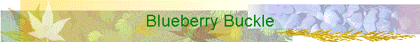 Blueberry Buckle