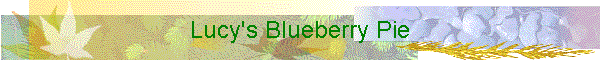 Lucy's Blueberry Pie