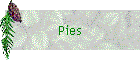 Pies