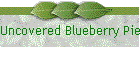 Uncovered Blueberry Pie