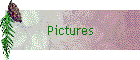 Pictures
