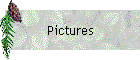 Pictures