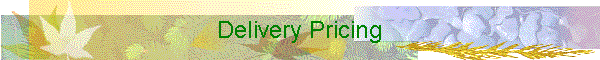Delivery Pricing