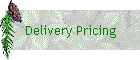 Delivery Pricing